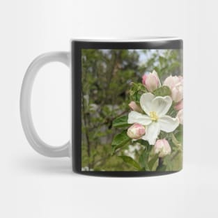 White and Pink Tree Flowers 2 Mug